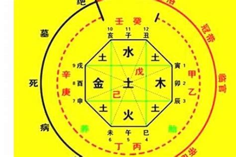 八字 喜忌|八字入门基础 第六篇 如何判断八字喜用神